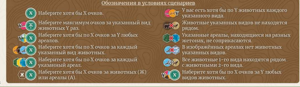 Обозначения в условиях сценариев