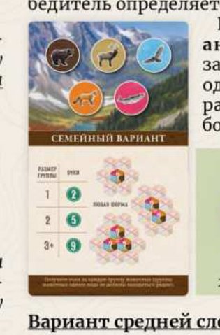 Карта цели с семейным вариантом