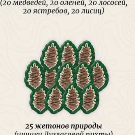 Жетоны природы