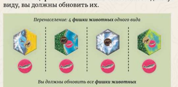 Перенаселение: 4 фишки