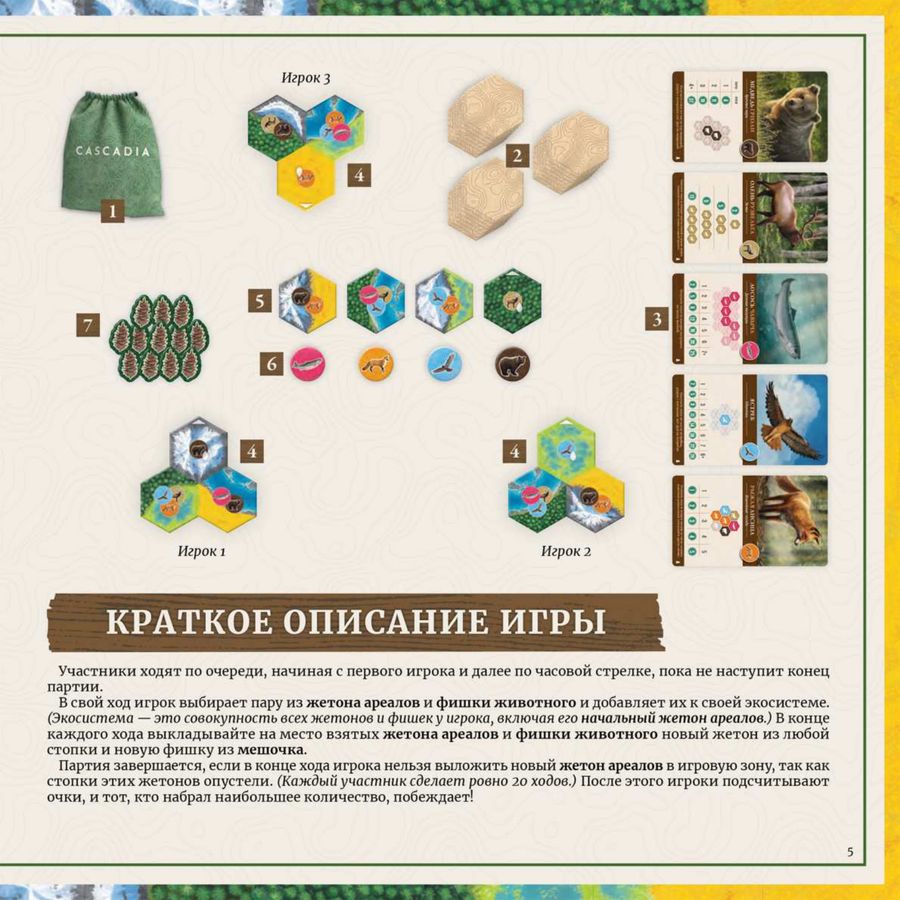 Страница 5