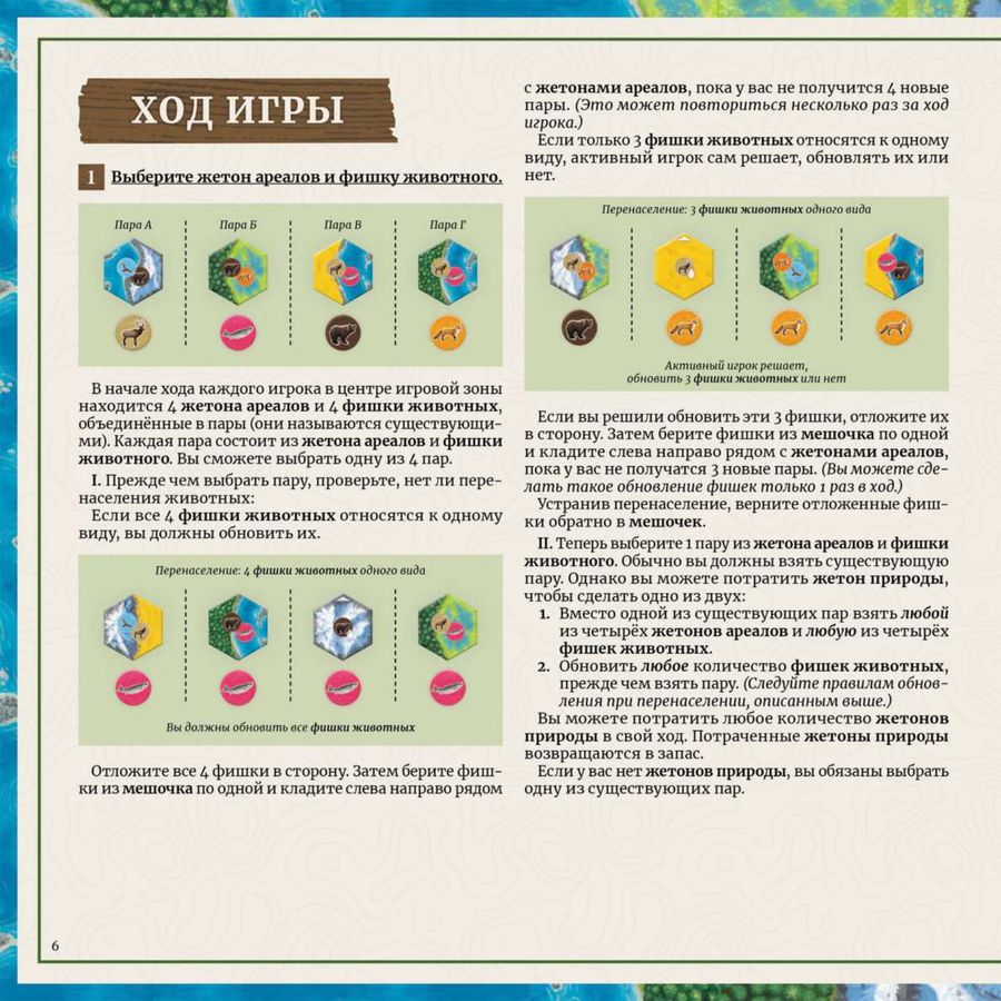 Страница 6