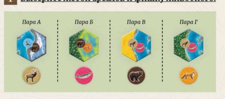 Четыре пары