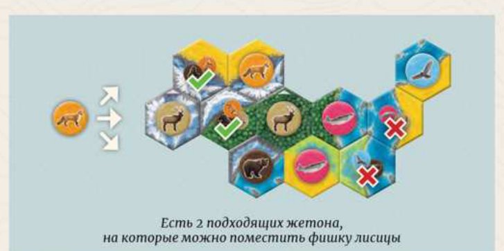 Куда можно поставить фишку